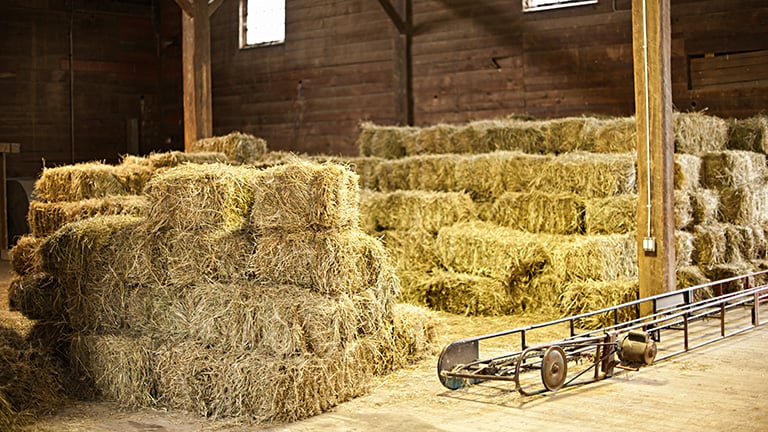 The interior of a pole barn with hay bales