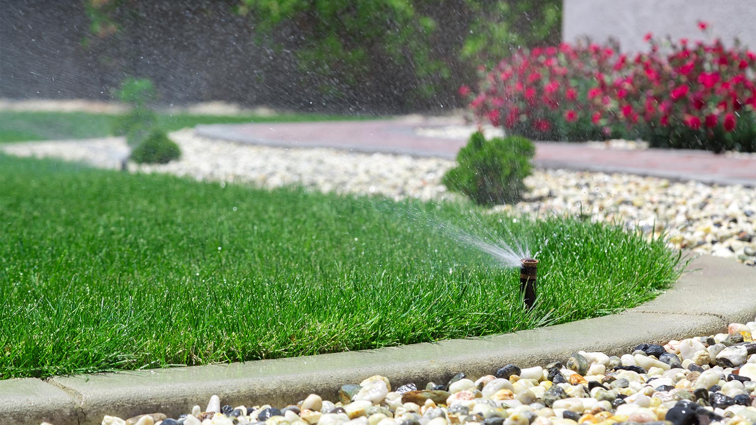 Automatic sprinklers watering grass