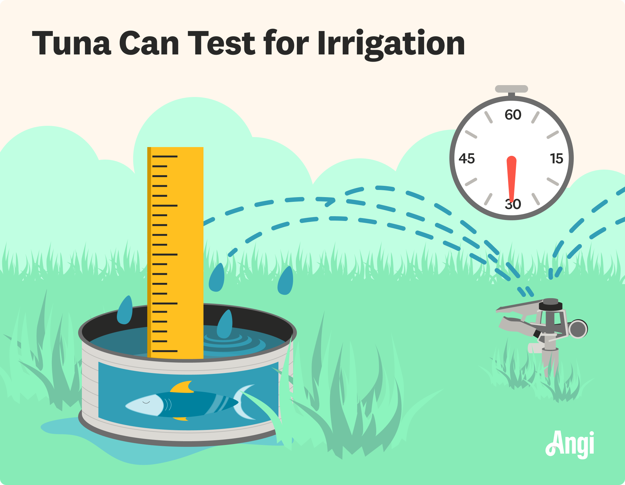 Tuna can test for irrigation illustrated, showing with water measured by what is collected in a tuna can