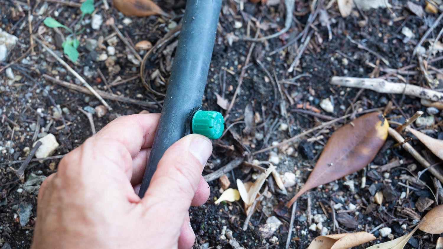 A person repairs drip irrigation in a garden