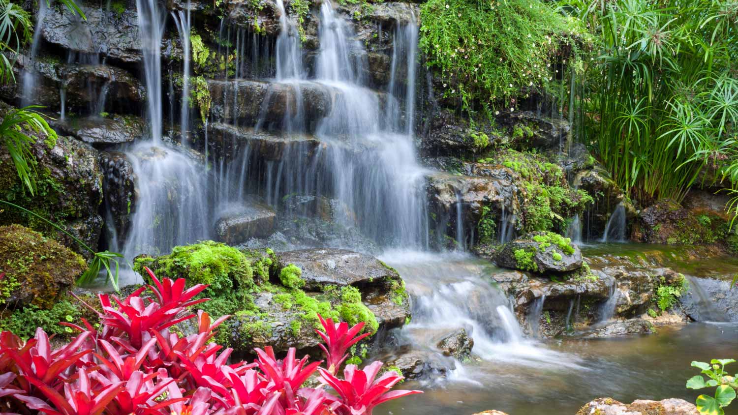 A view of a jungle-themed waterfall