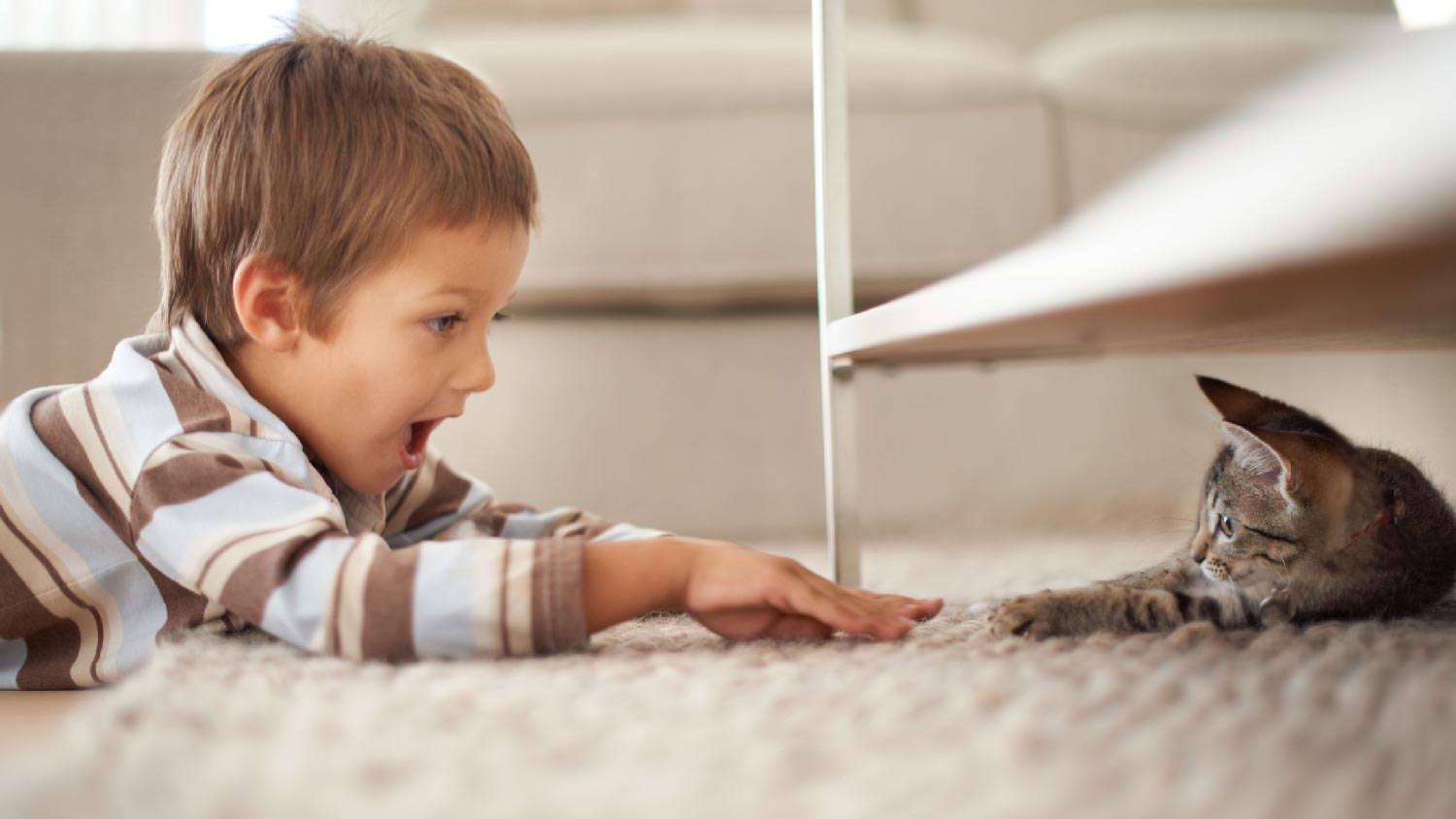 A kid playing with a cat on nylon carpet