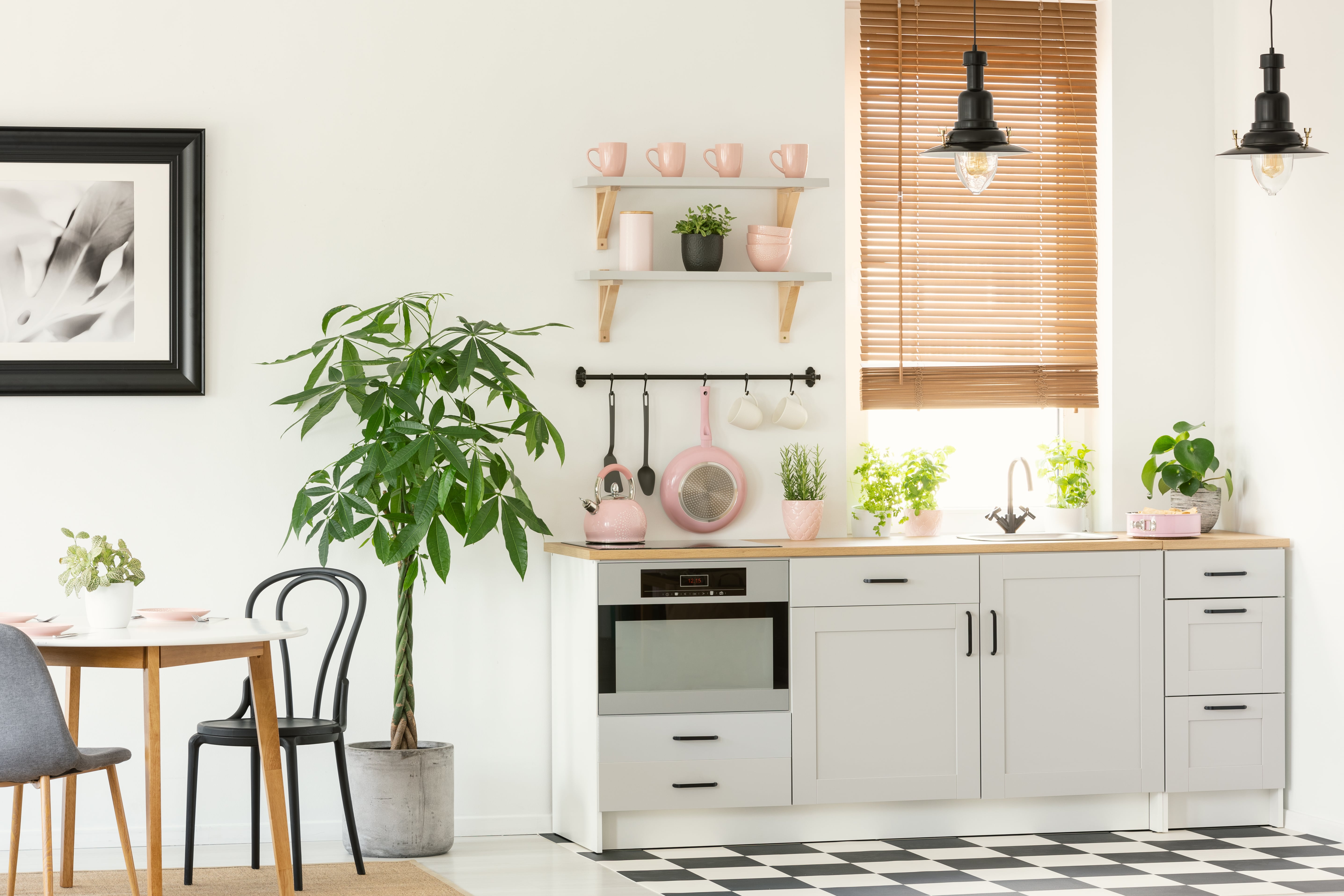 Open-shelving in small kitchenette