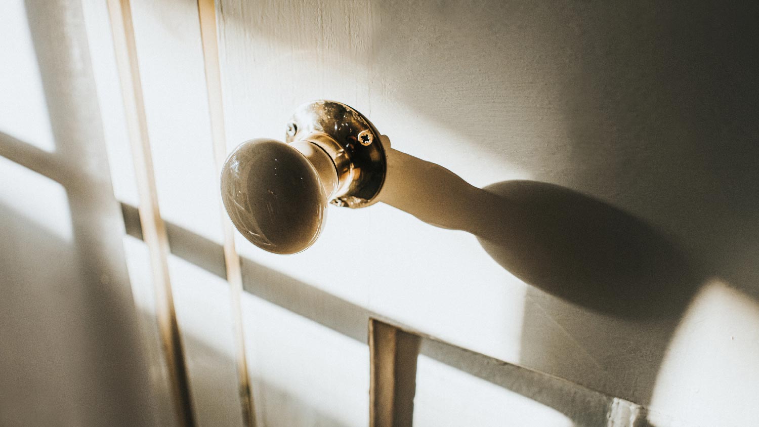 A knob with a rosette on a wooden door