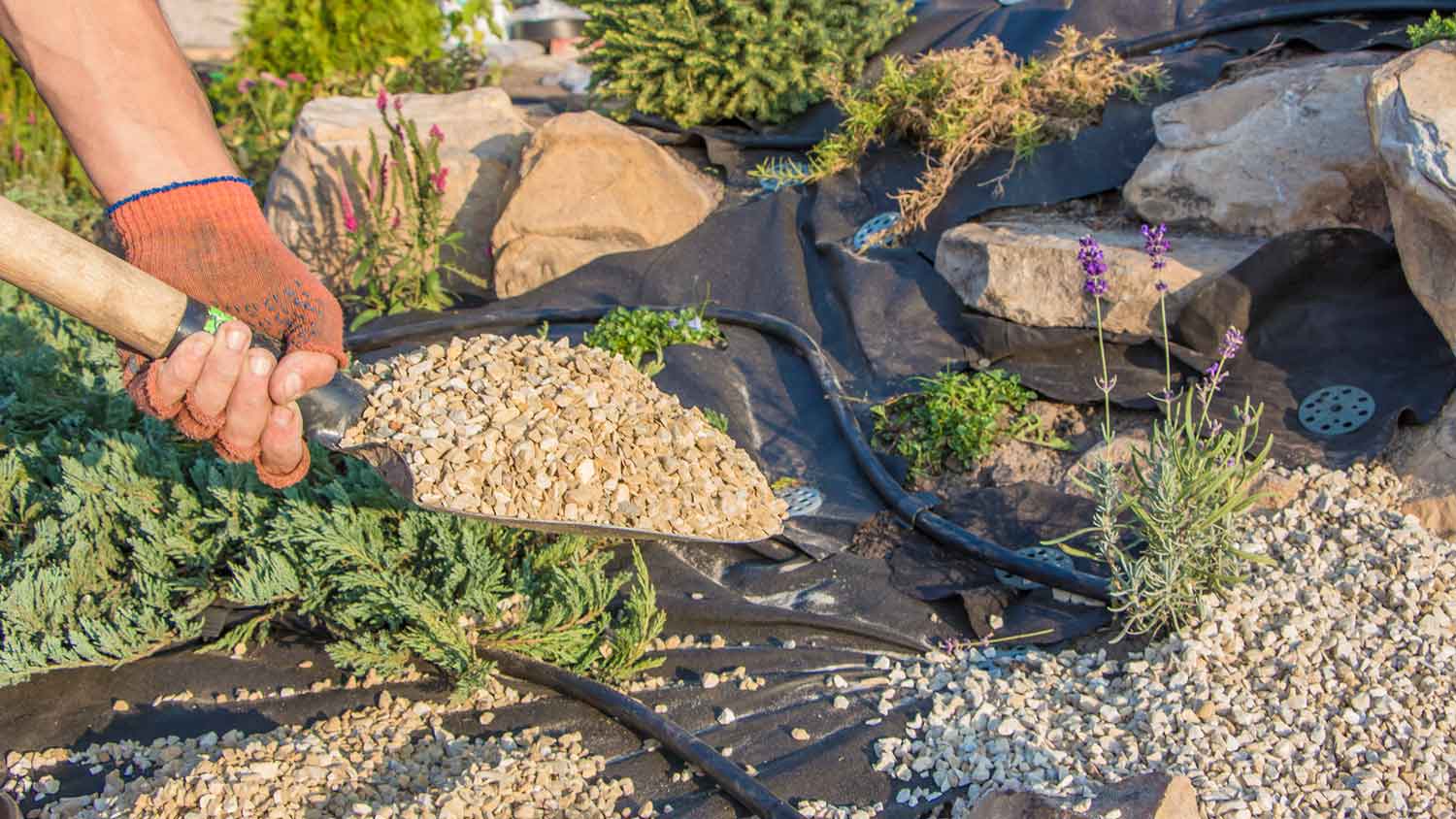 Landscaper placing small landscape rocks over landscaping fabric