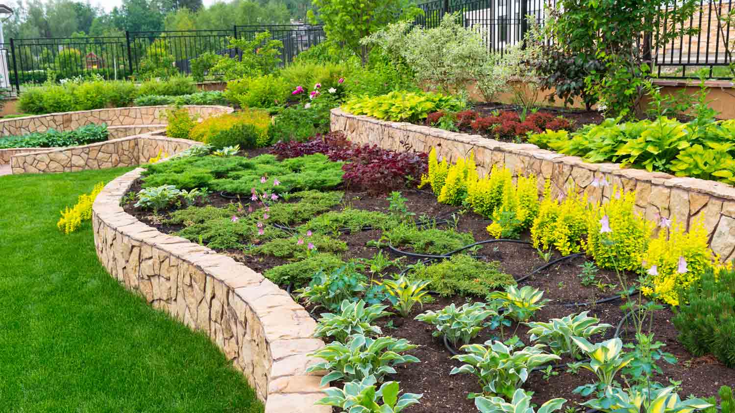 beautiful landscaped front yard