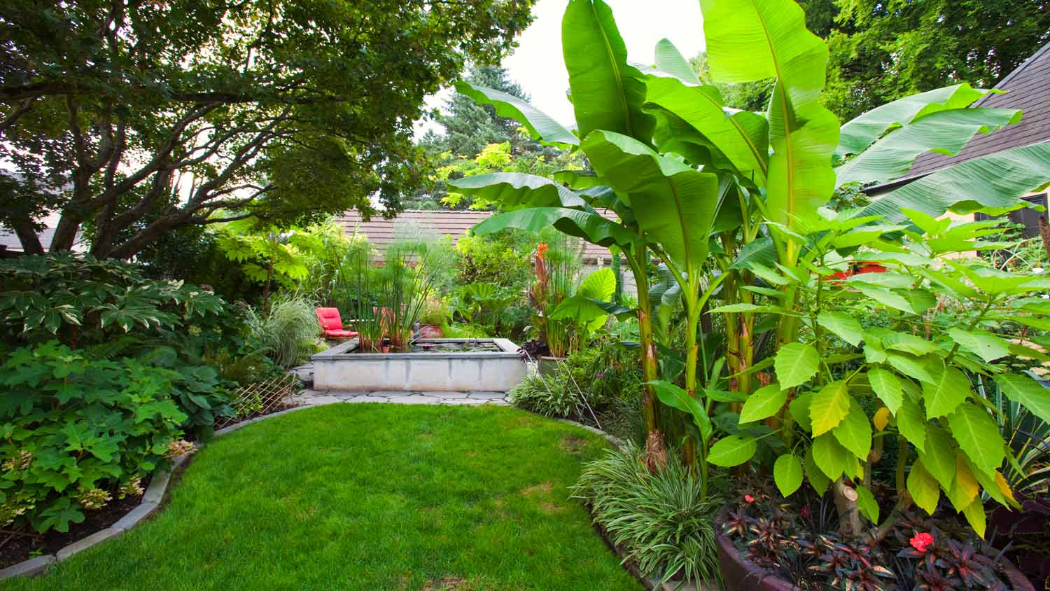 A landscaped garden with banana trees