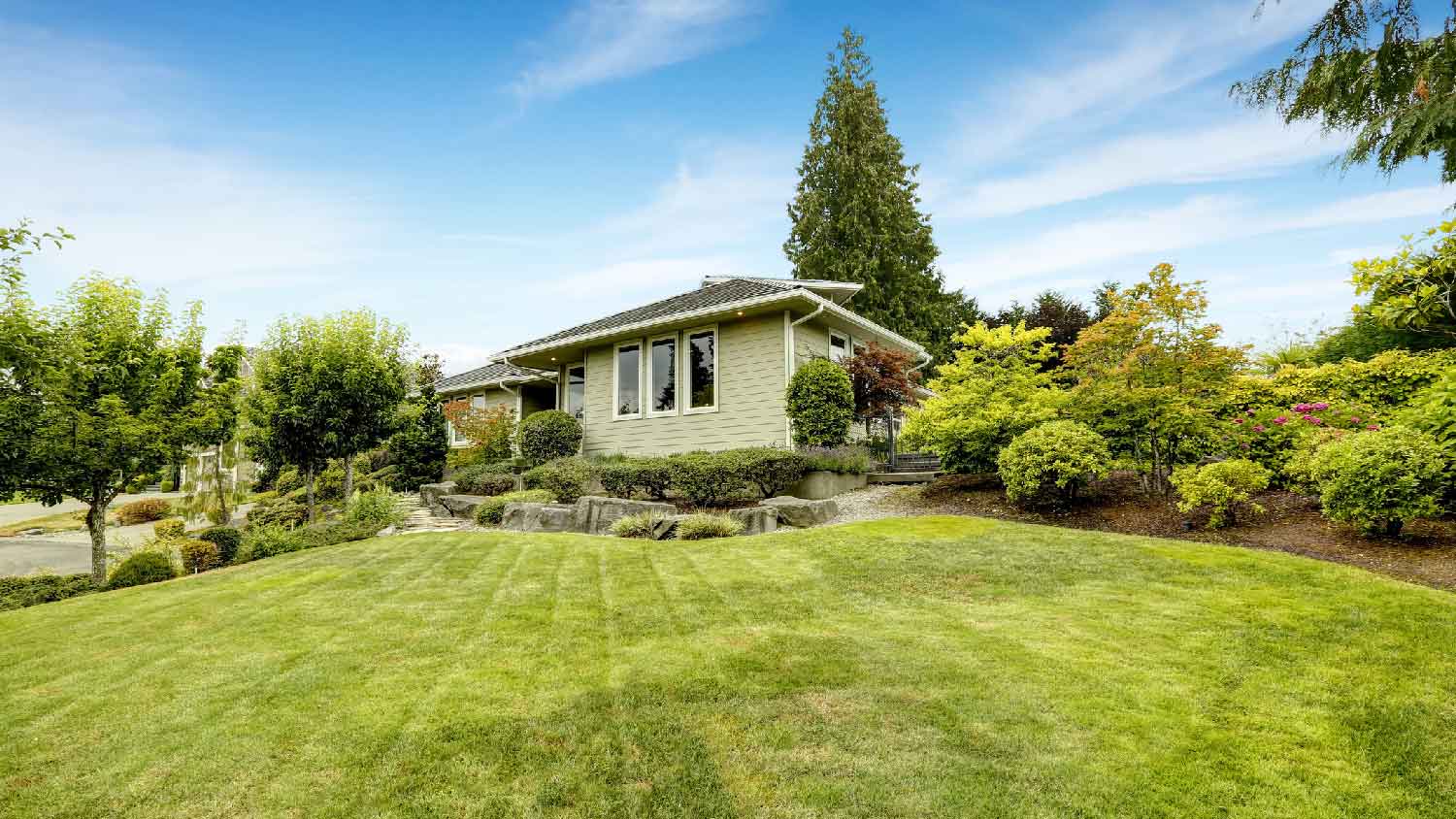 A frontyard landscaped garden with shrubs