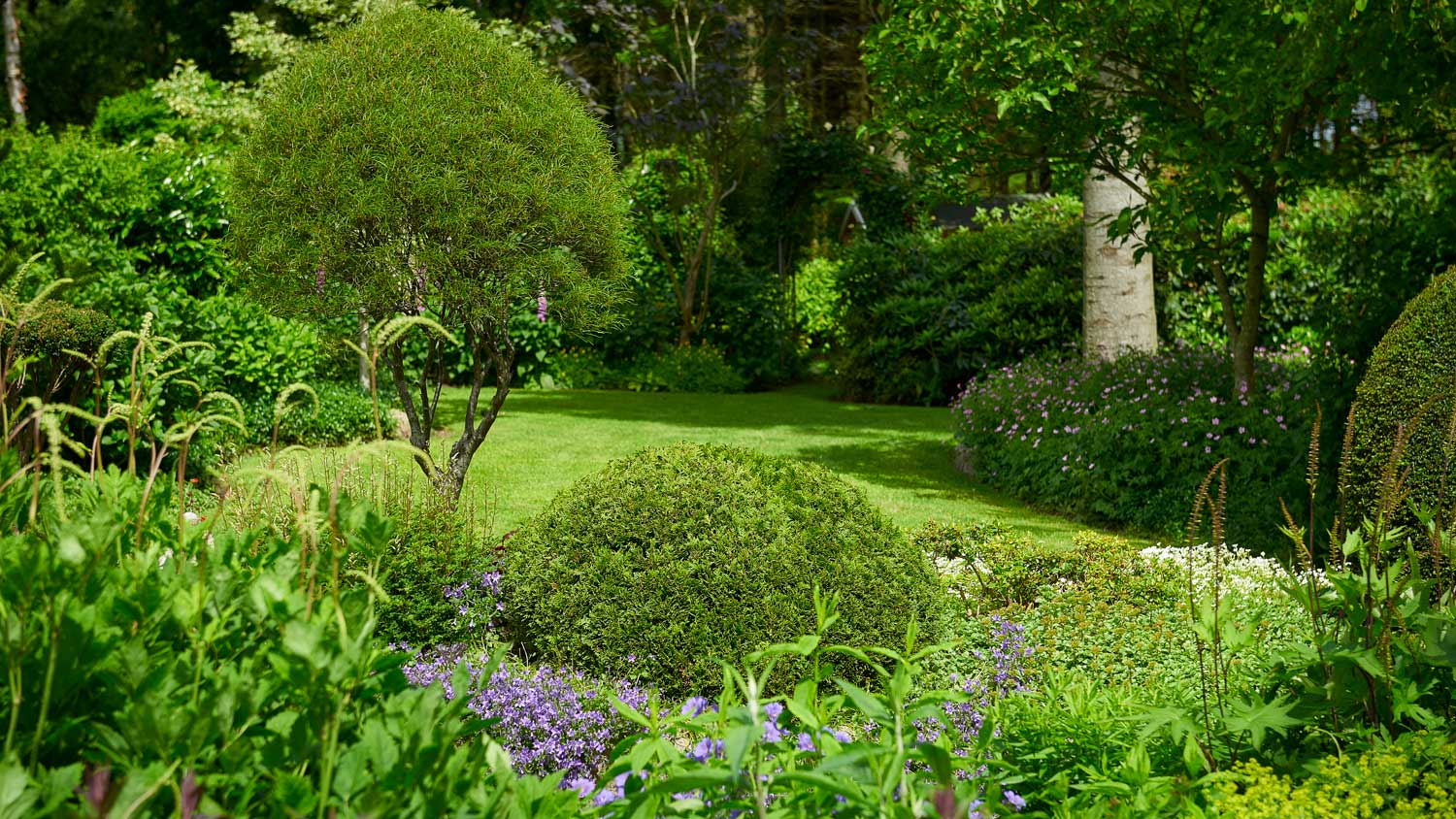 Well landscaped backyard