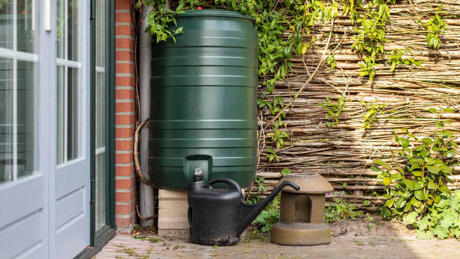 A green rain barrel