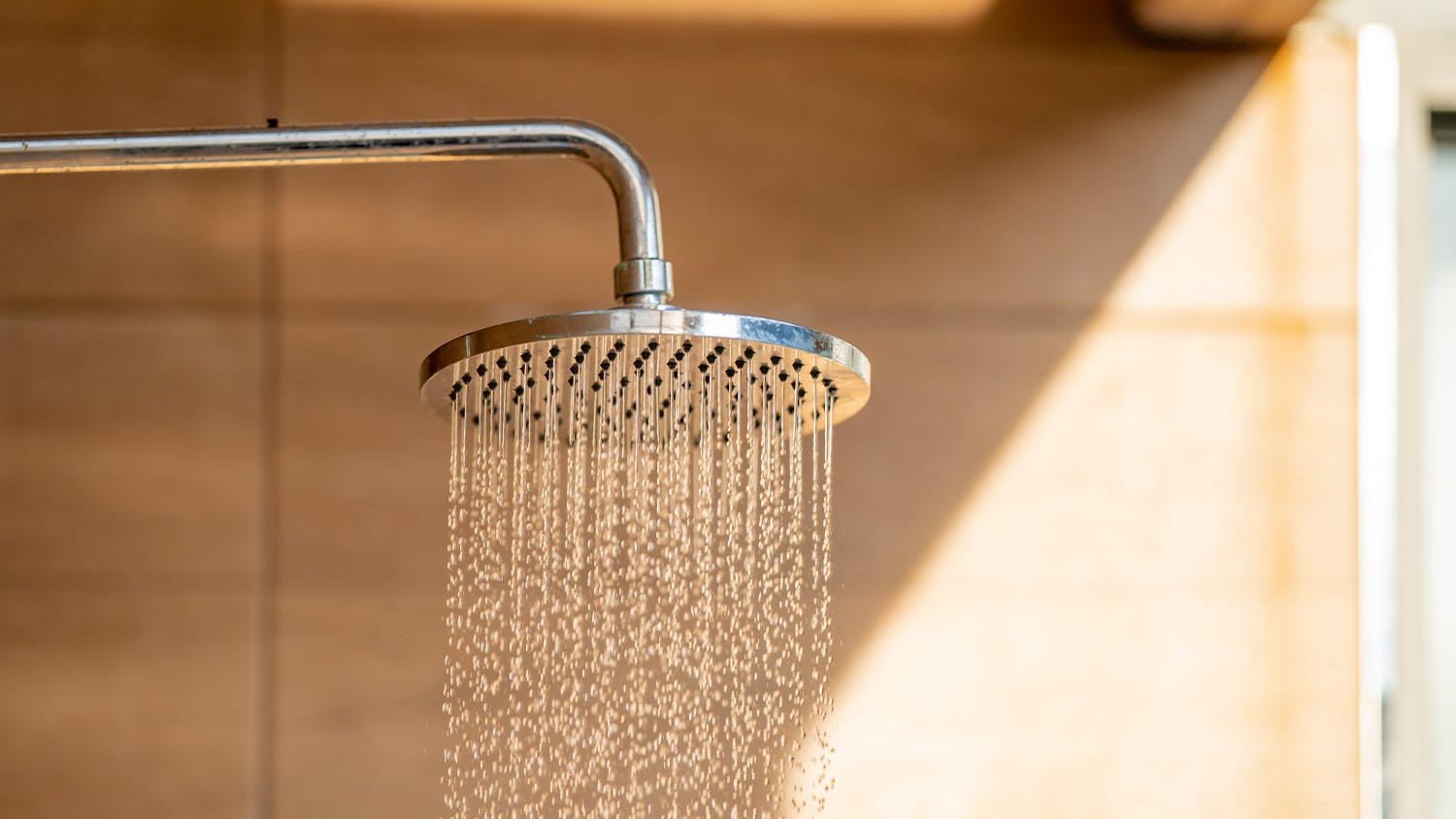 large rain showerhead