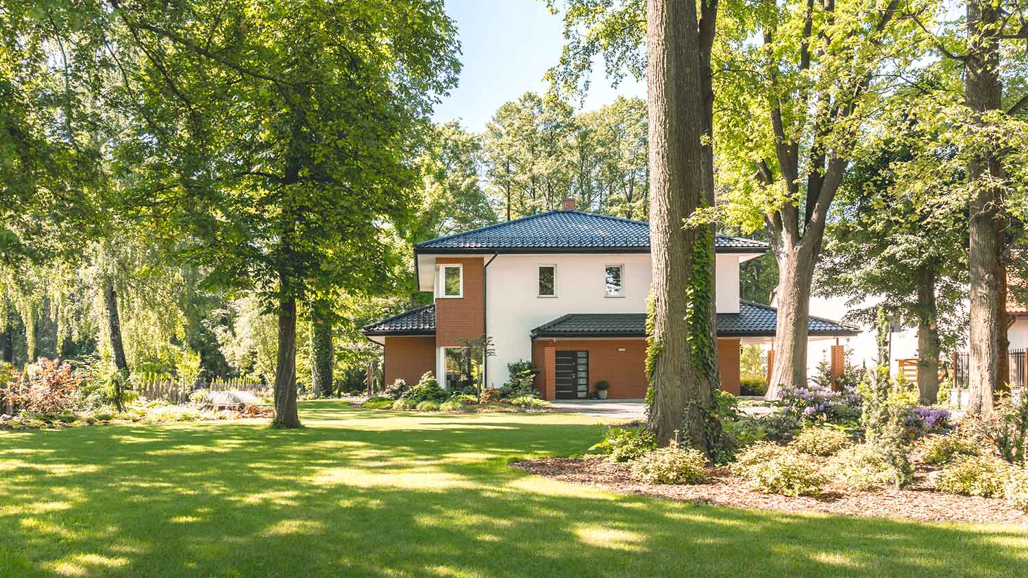 House in the middle of a yard with trees