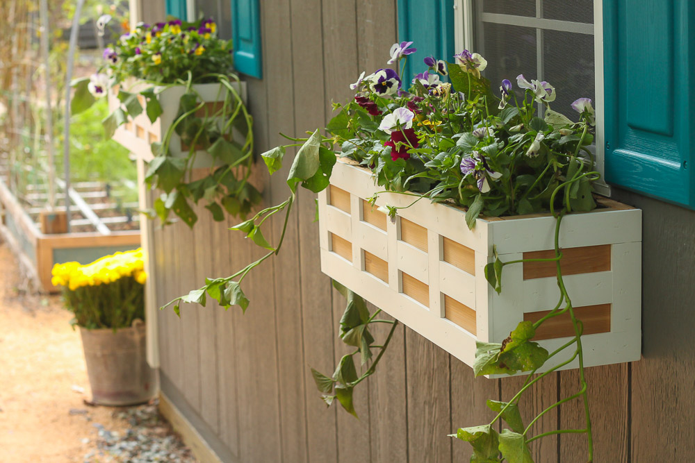 window box planters with flowers on side of house