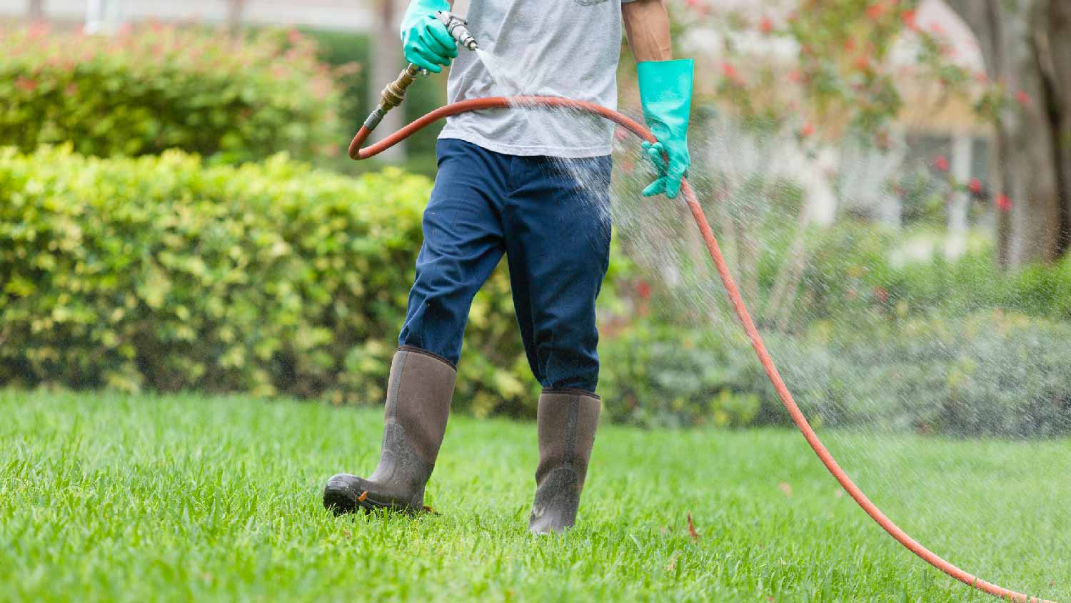 A lawn care professional performing a pest control
