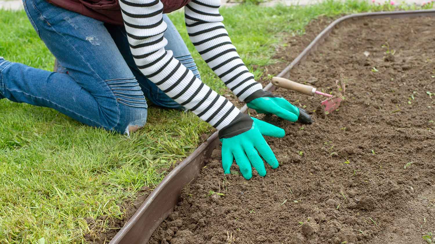 Woman installing lawn edging in the yard