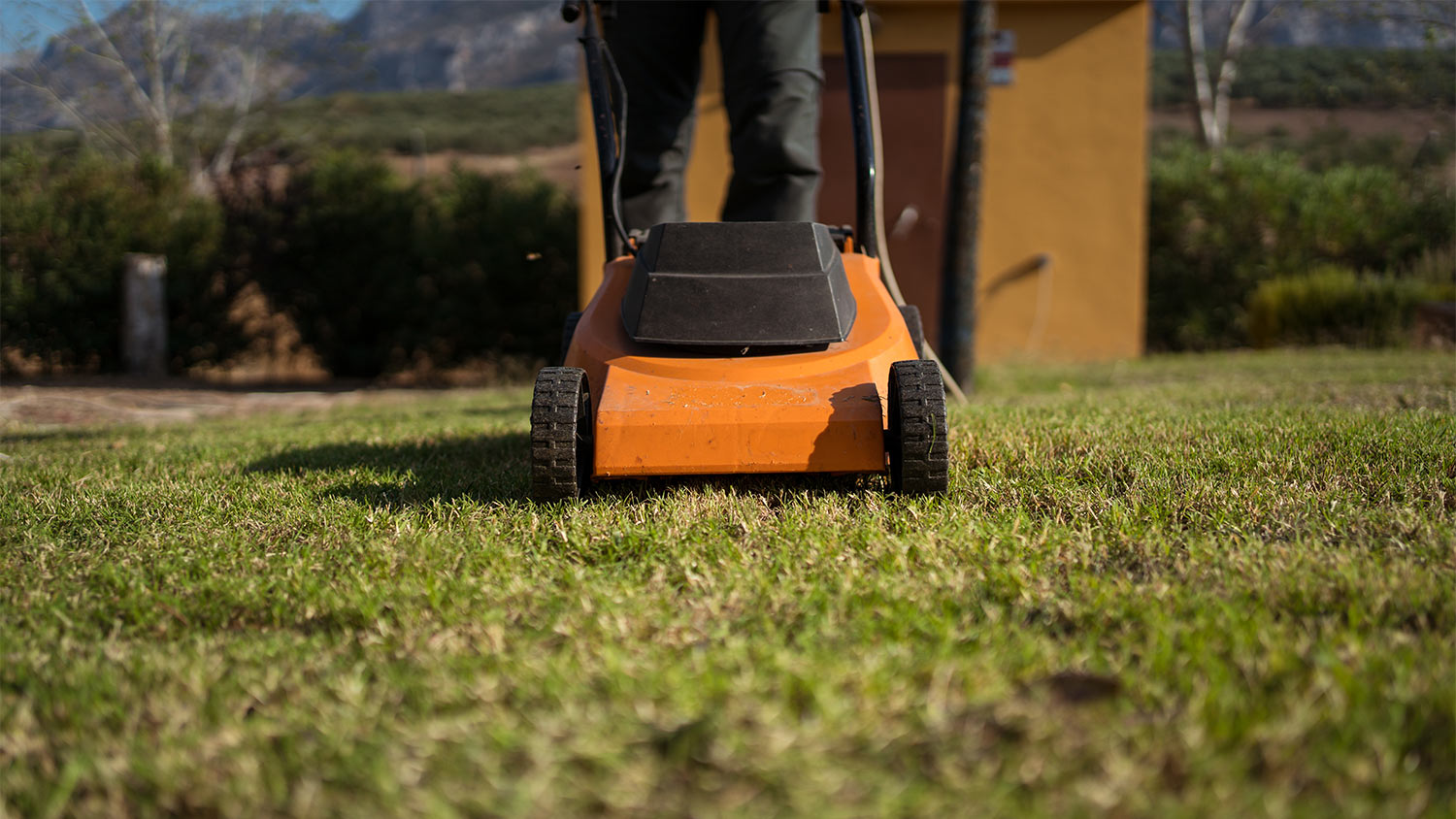 Lawn mower cutting grass