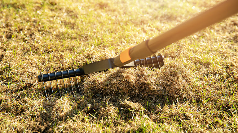 A lawn rake on a sunny day