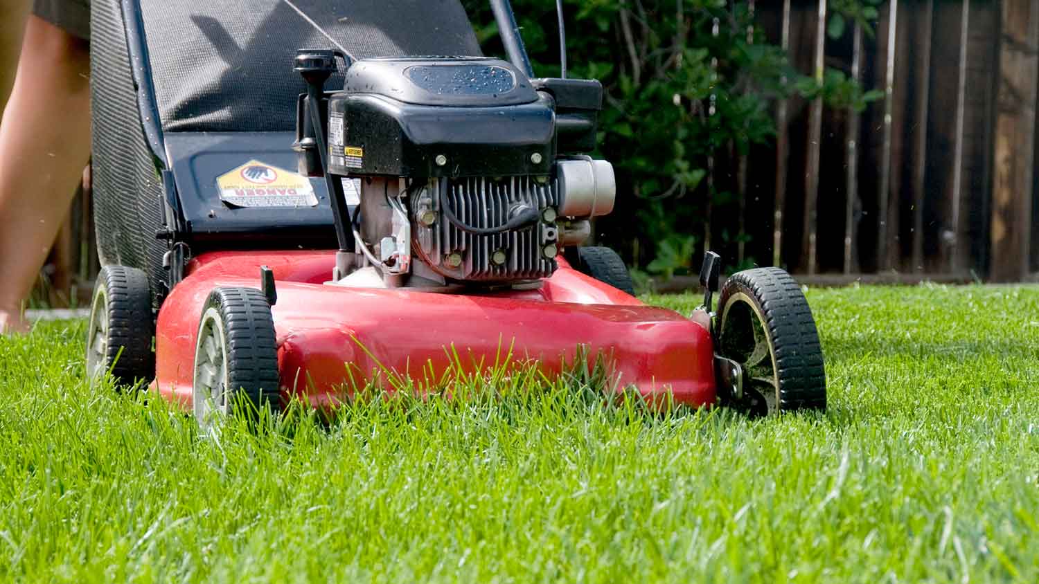 Closeup of a person pushing a lawnmower