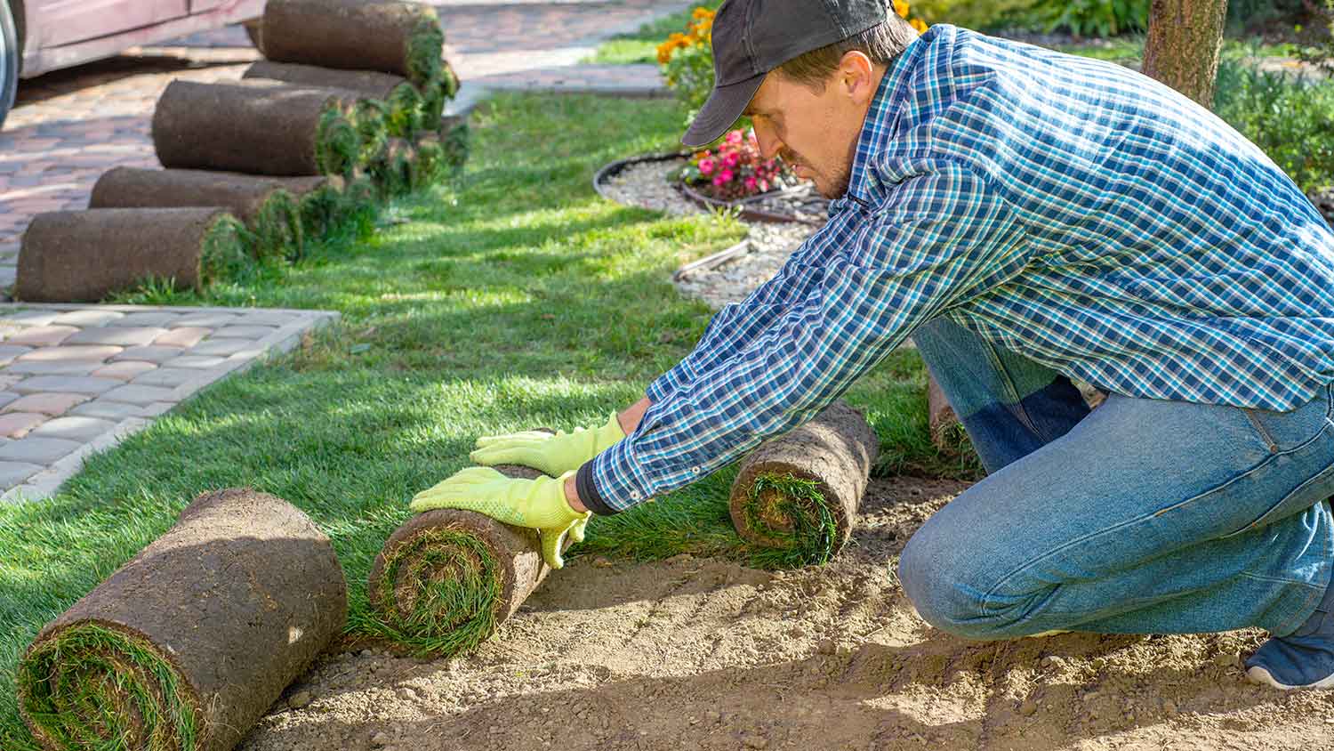  Landscaper laying new turf in the yard