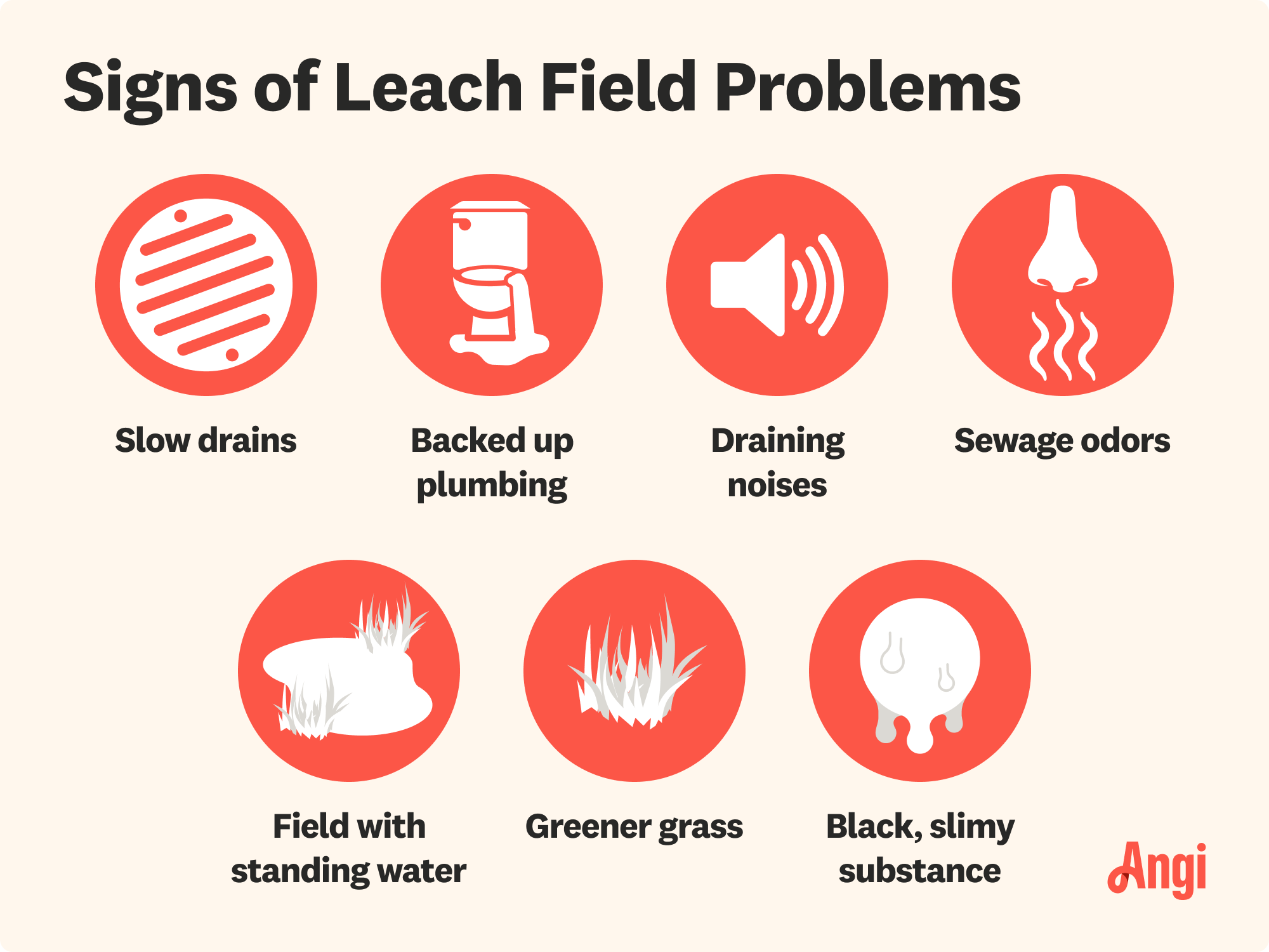 7 signs of leach field problems, including backed up plumbing, greener grass, and sewage odors
