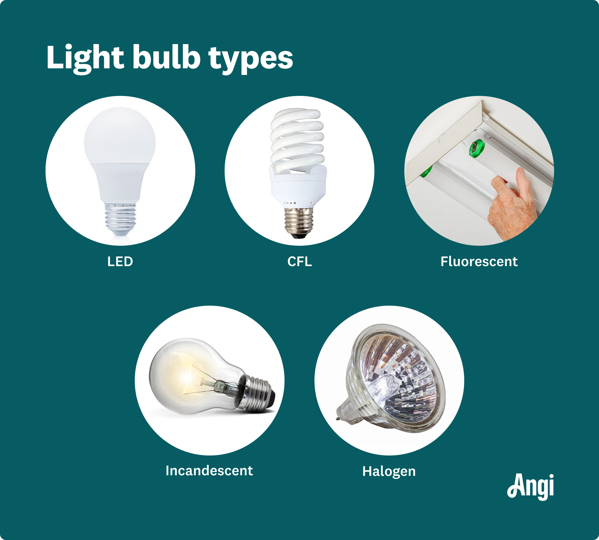 How Many Types Of Light Bulbs Are There At Louisedscott Blog