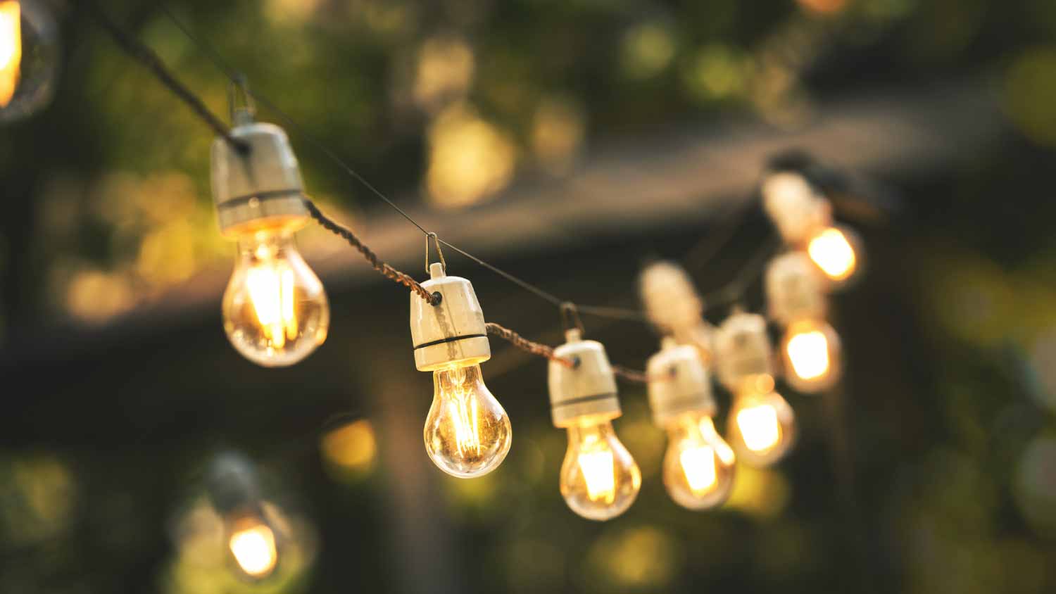 Lights hanging in backyard