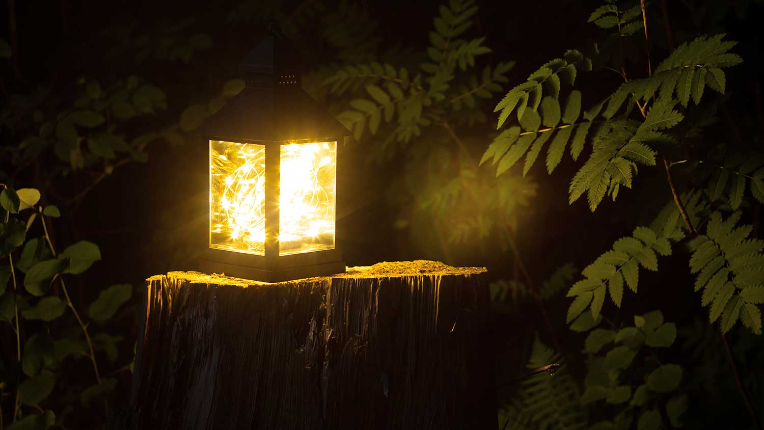 Lit lantern sitting on a tree stump