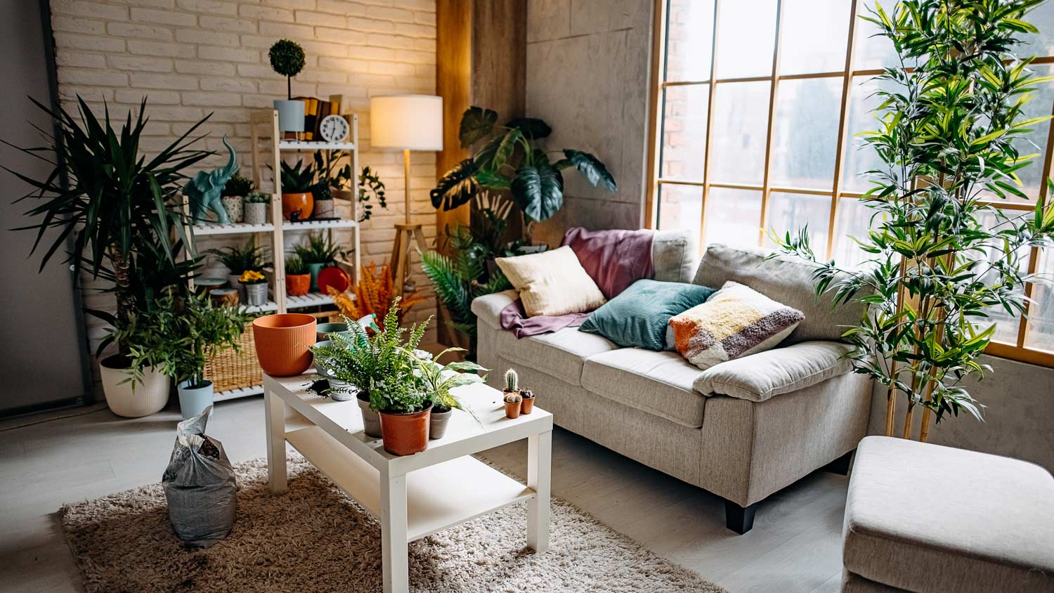 A cozy living room with large windows and lots of plants