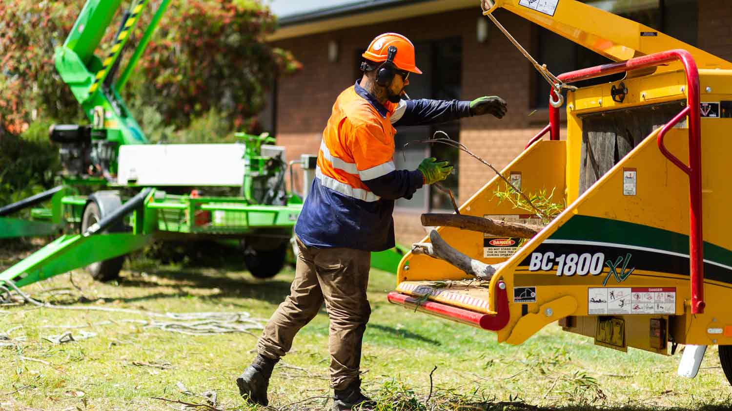 professional loading branches into machine 