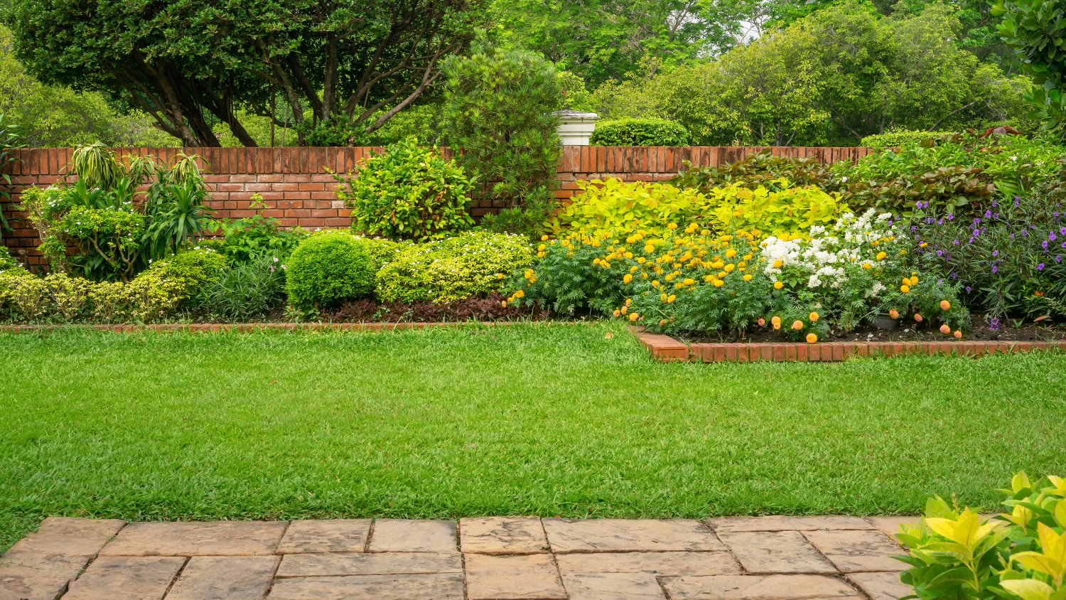 lush garden and lawn