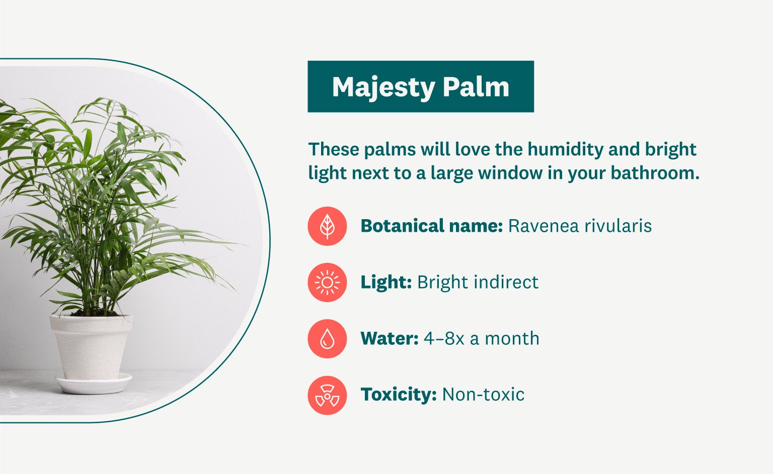 majesty plan graphic