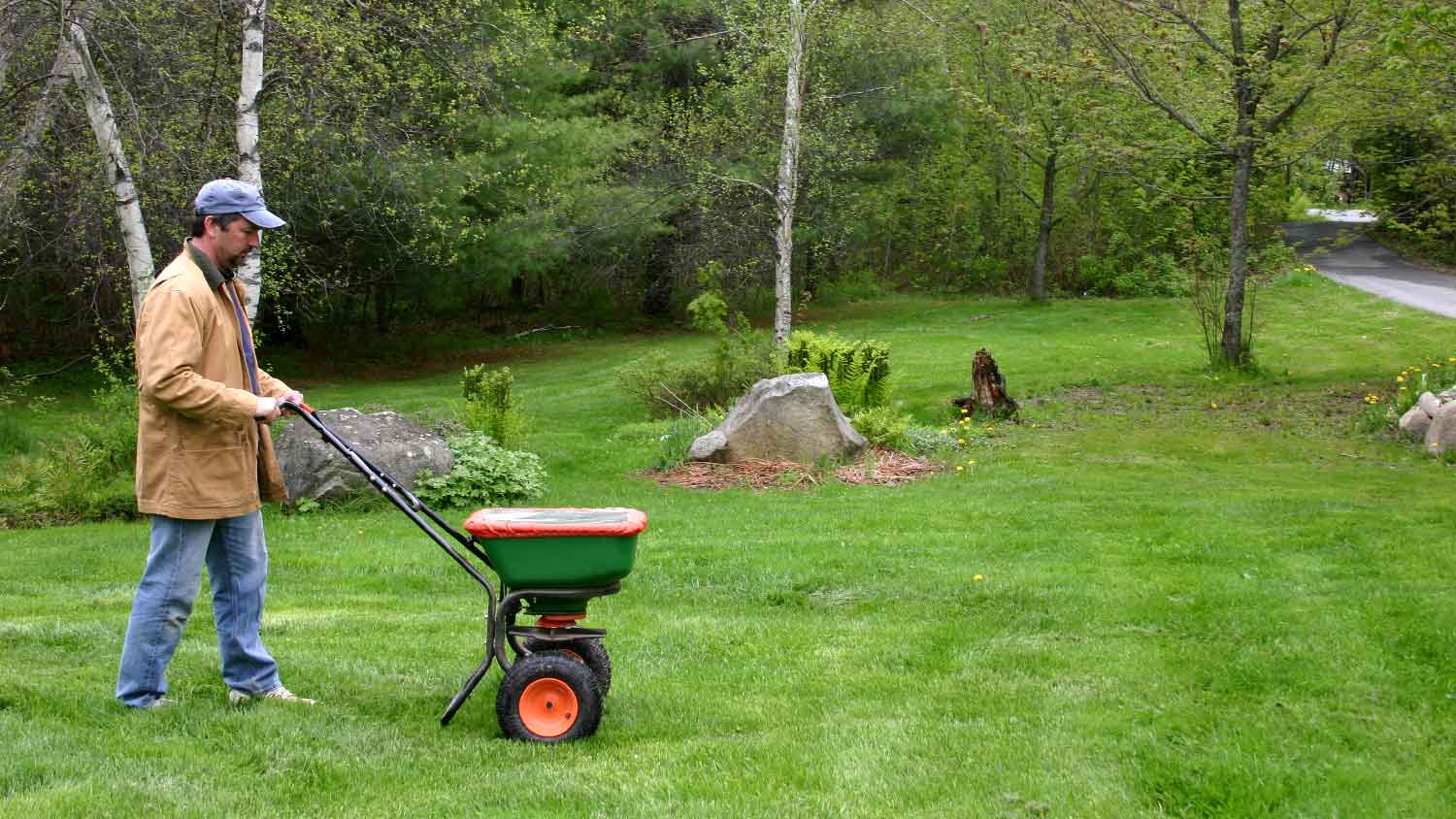 A man applying fertilizer on the lawn