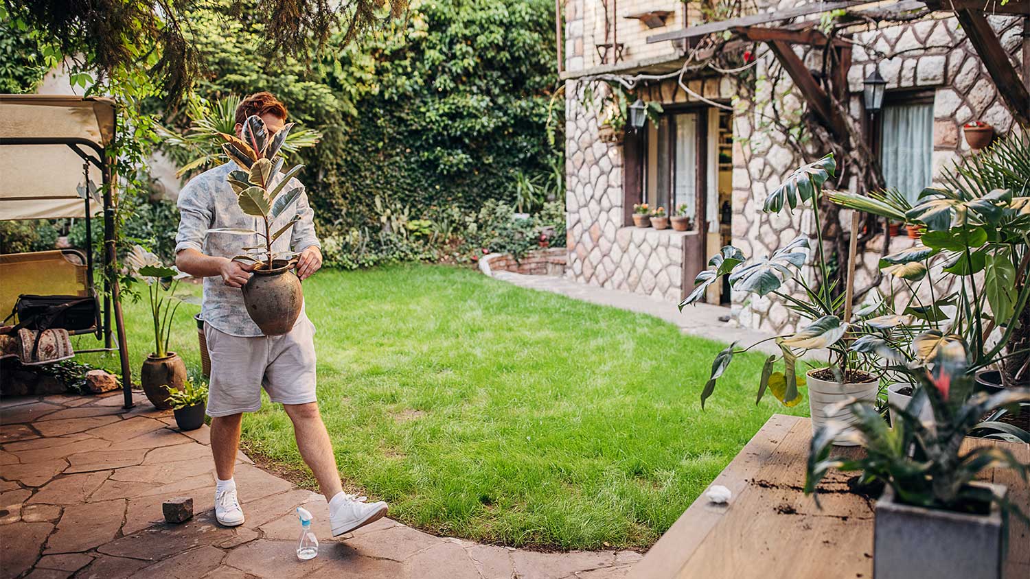 A man carries a potted plant