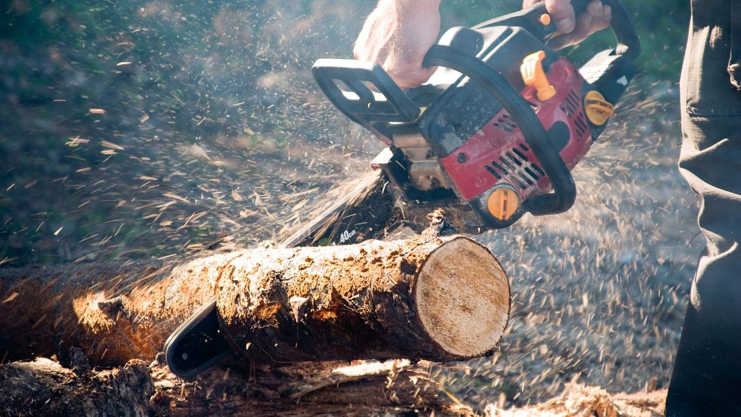 A man cutting with a chainsaw greenwood