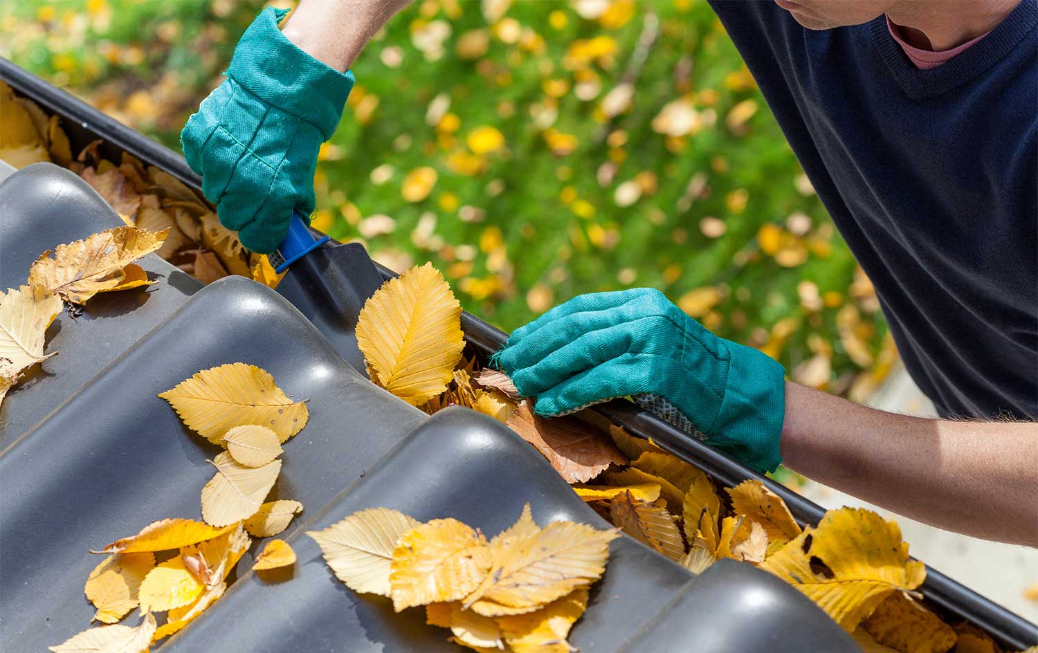 Man removing autumn leaves from gutter