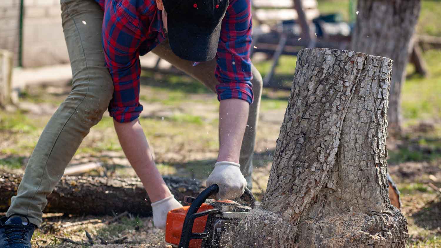 A man cutting a trunk with a chainsaw