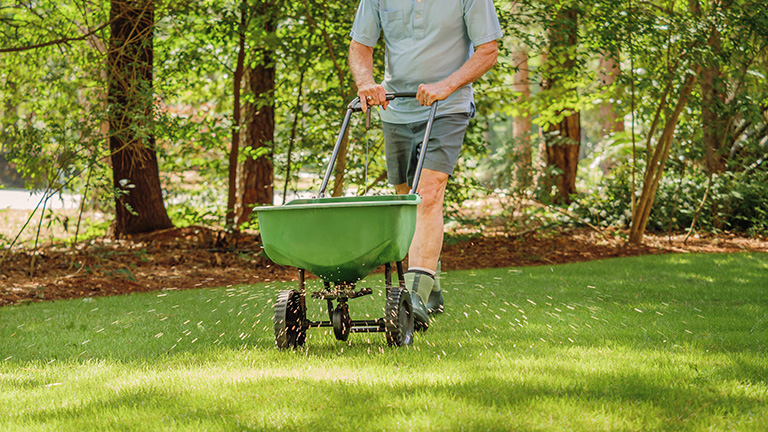 Man fertilising the lawn using a fertiliser spreader