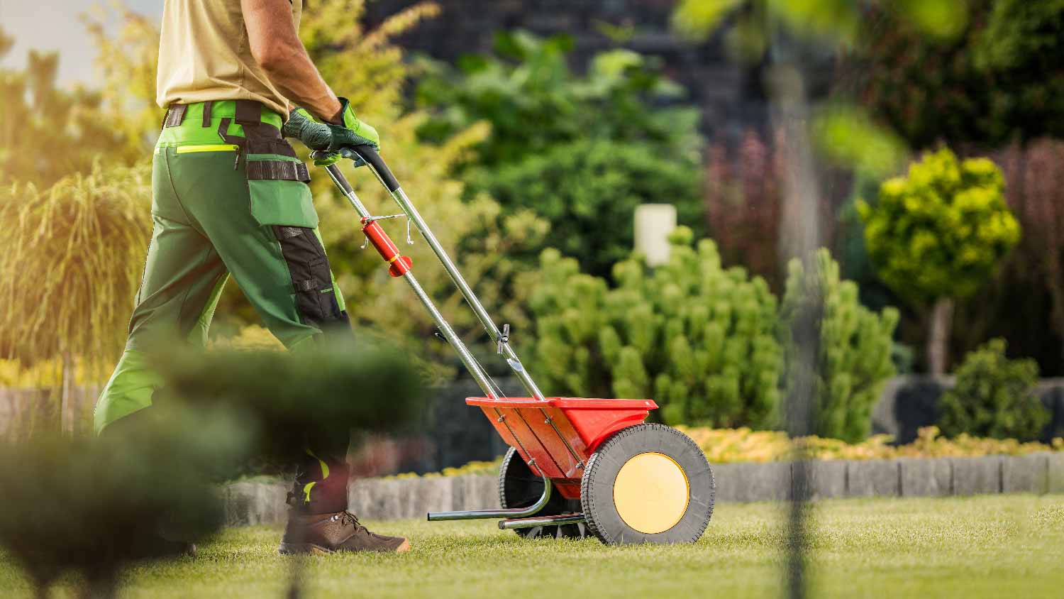 A man fertilizing the lawn