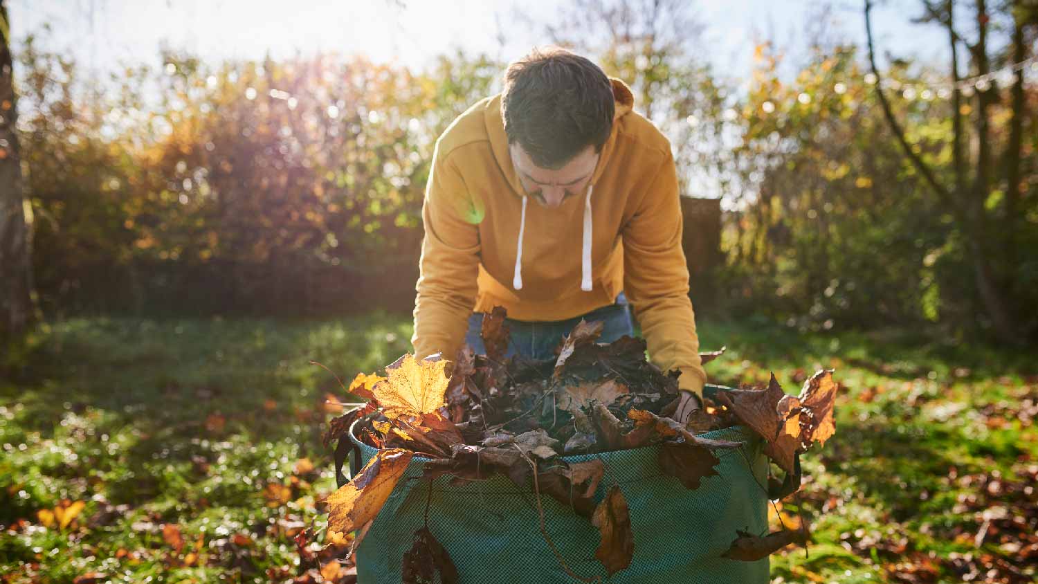 A man gathering dead leaves from the yard