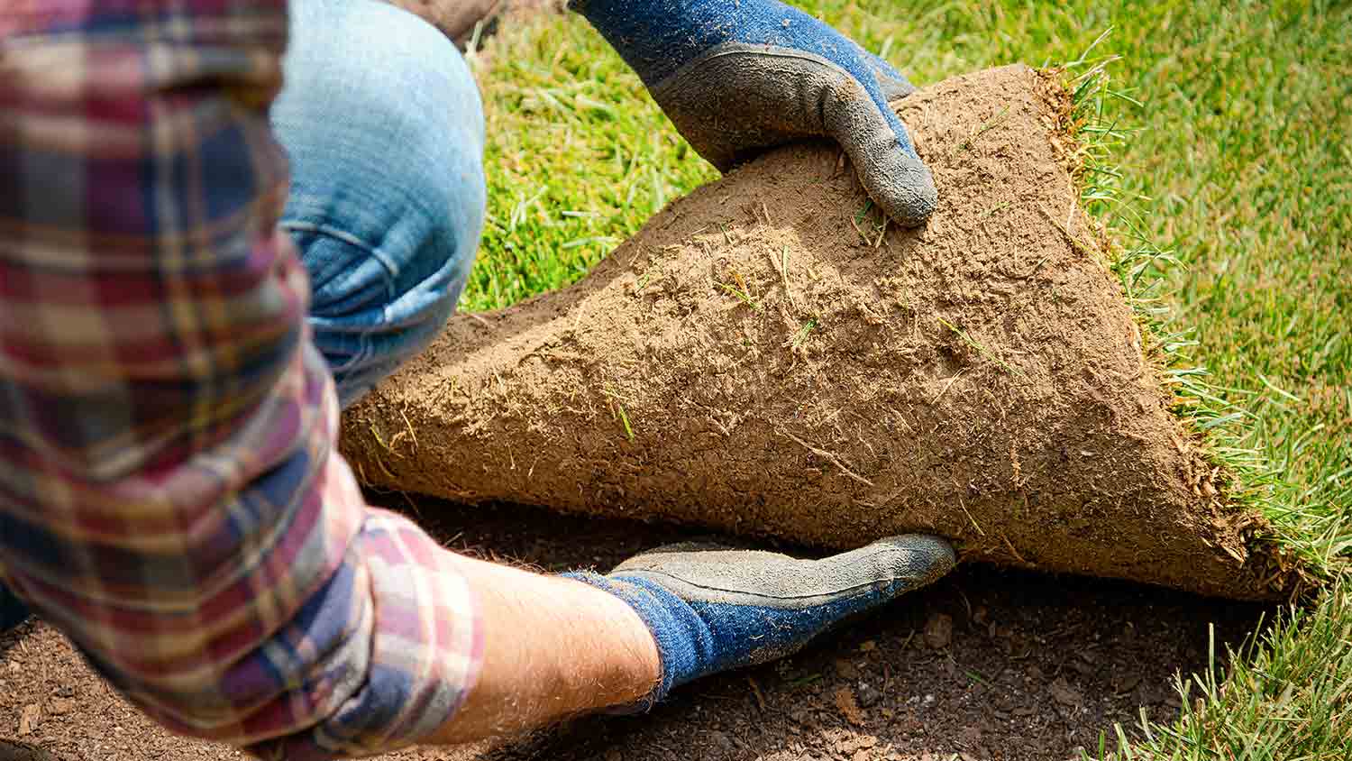 man laying down grass sod 