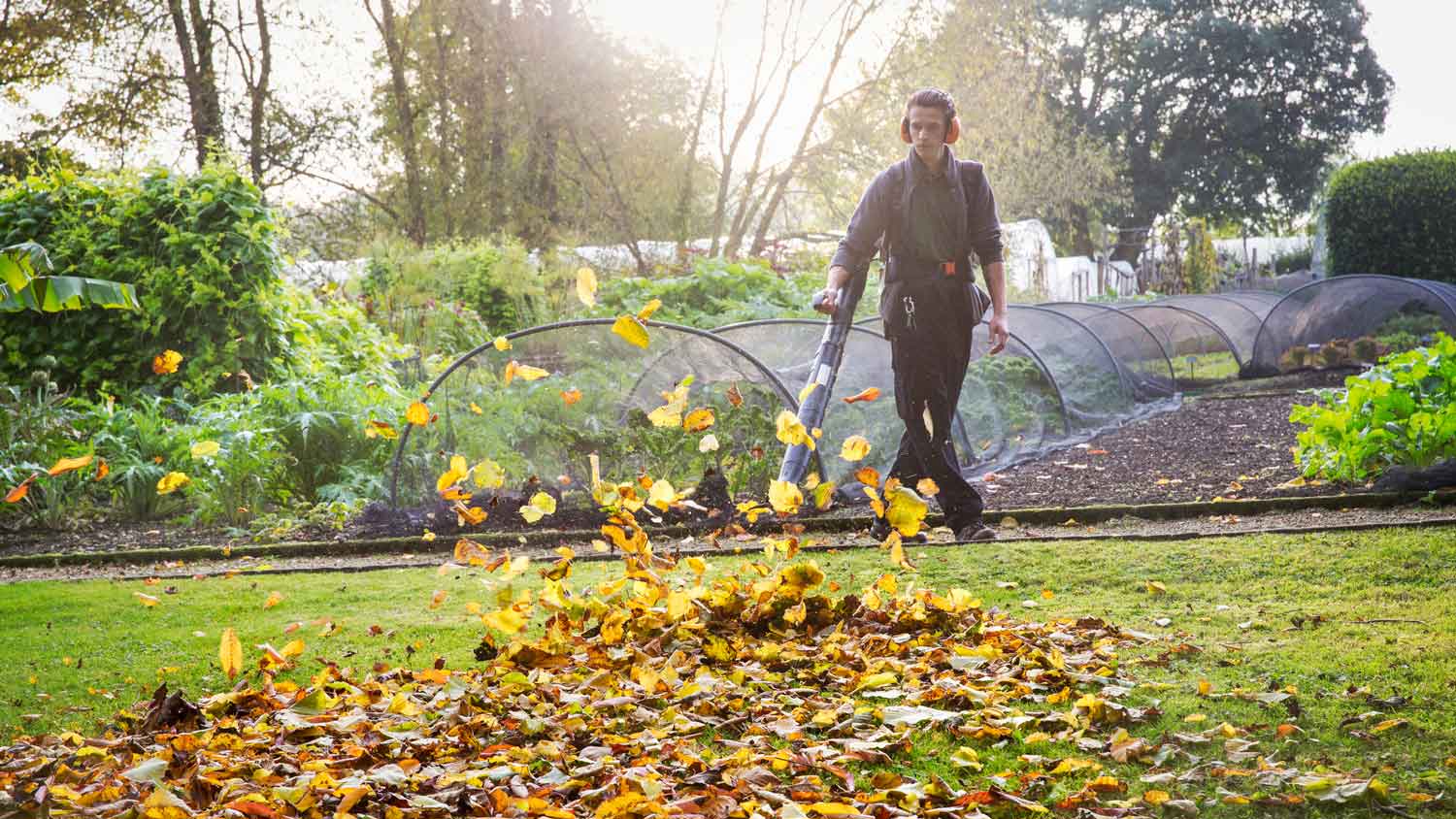  A man with a leaf blower in the garden