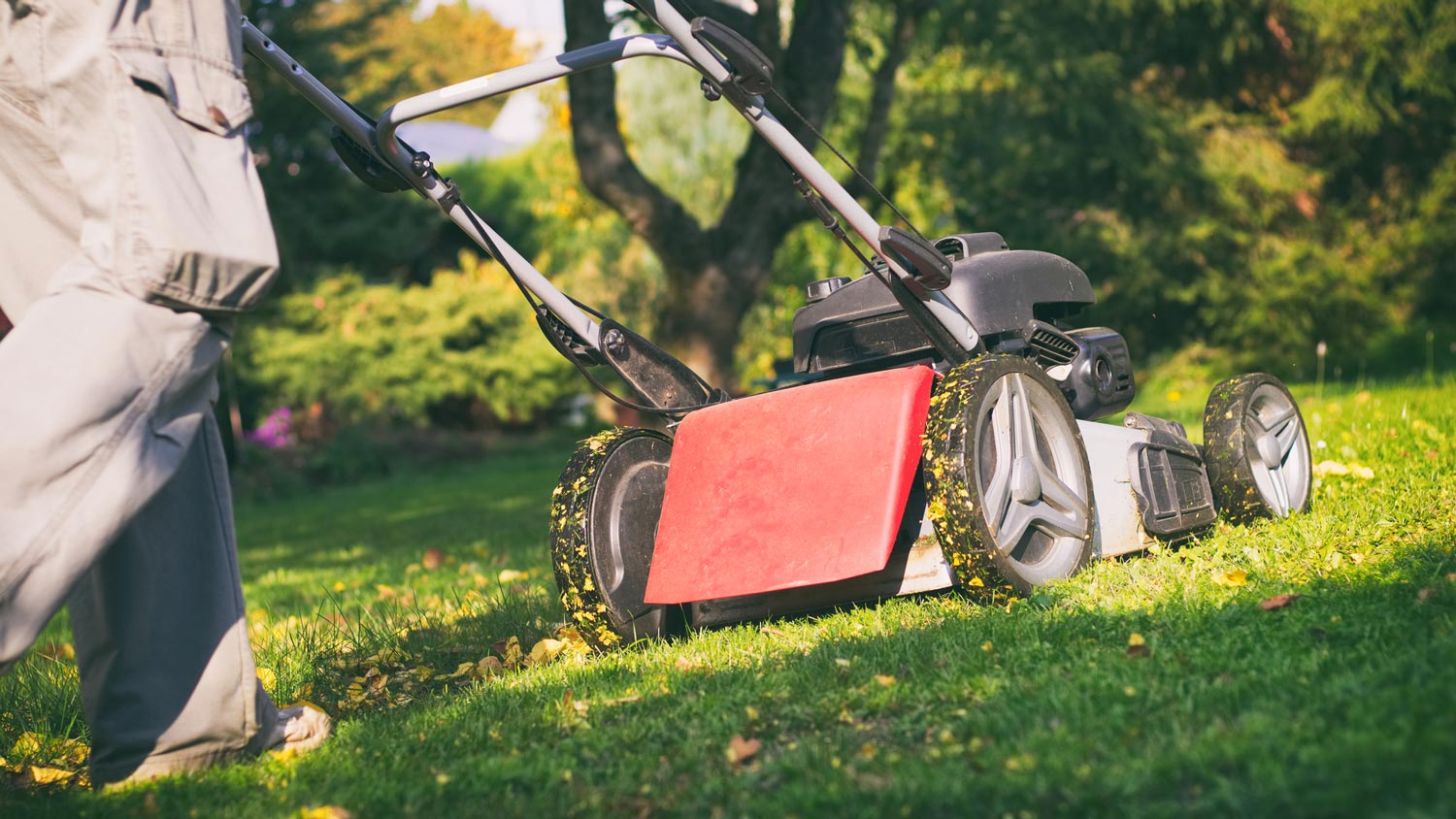 Close-up of a man mowing the lawn