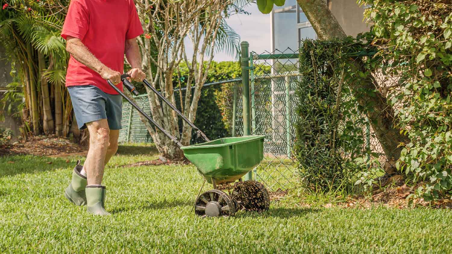 A man overseeding the lawn