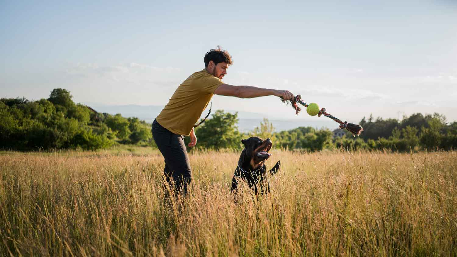 A man playing with his dog in a field