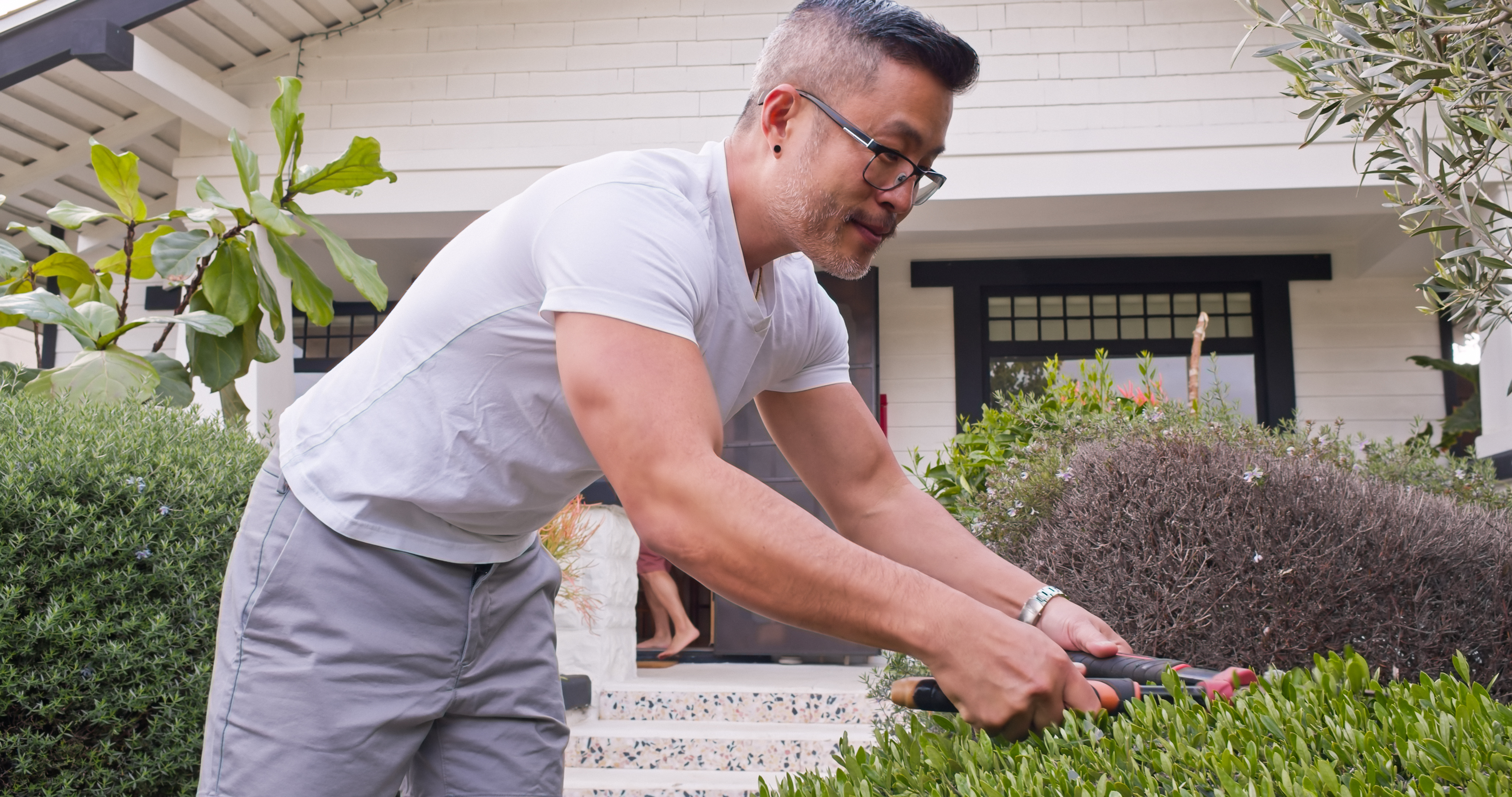 A man pruning the shrubs in the front yard