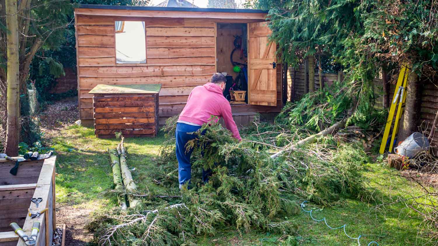 A man removing tree branches from his backyard