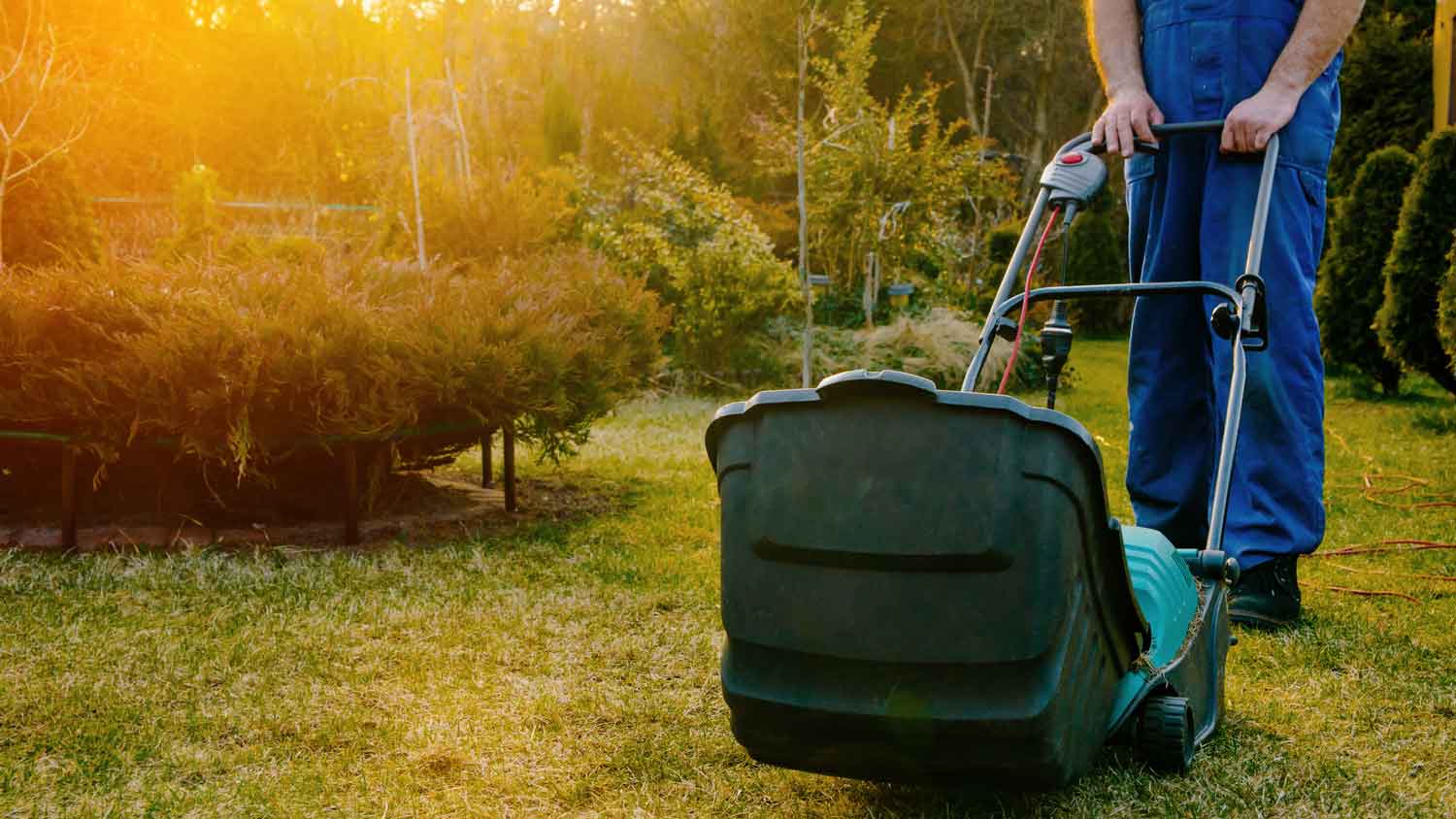 A man using a scarifier to aerate the lawn