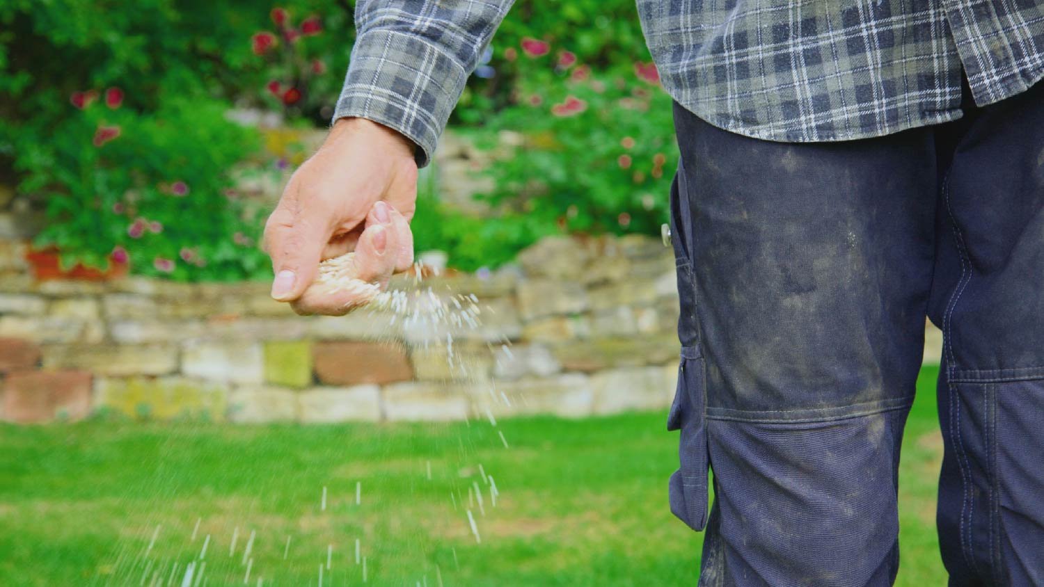 Man seeding a lawn