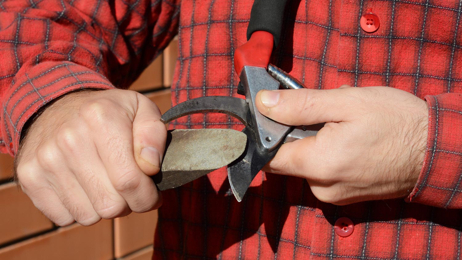 A man sharpening pruning shears