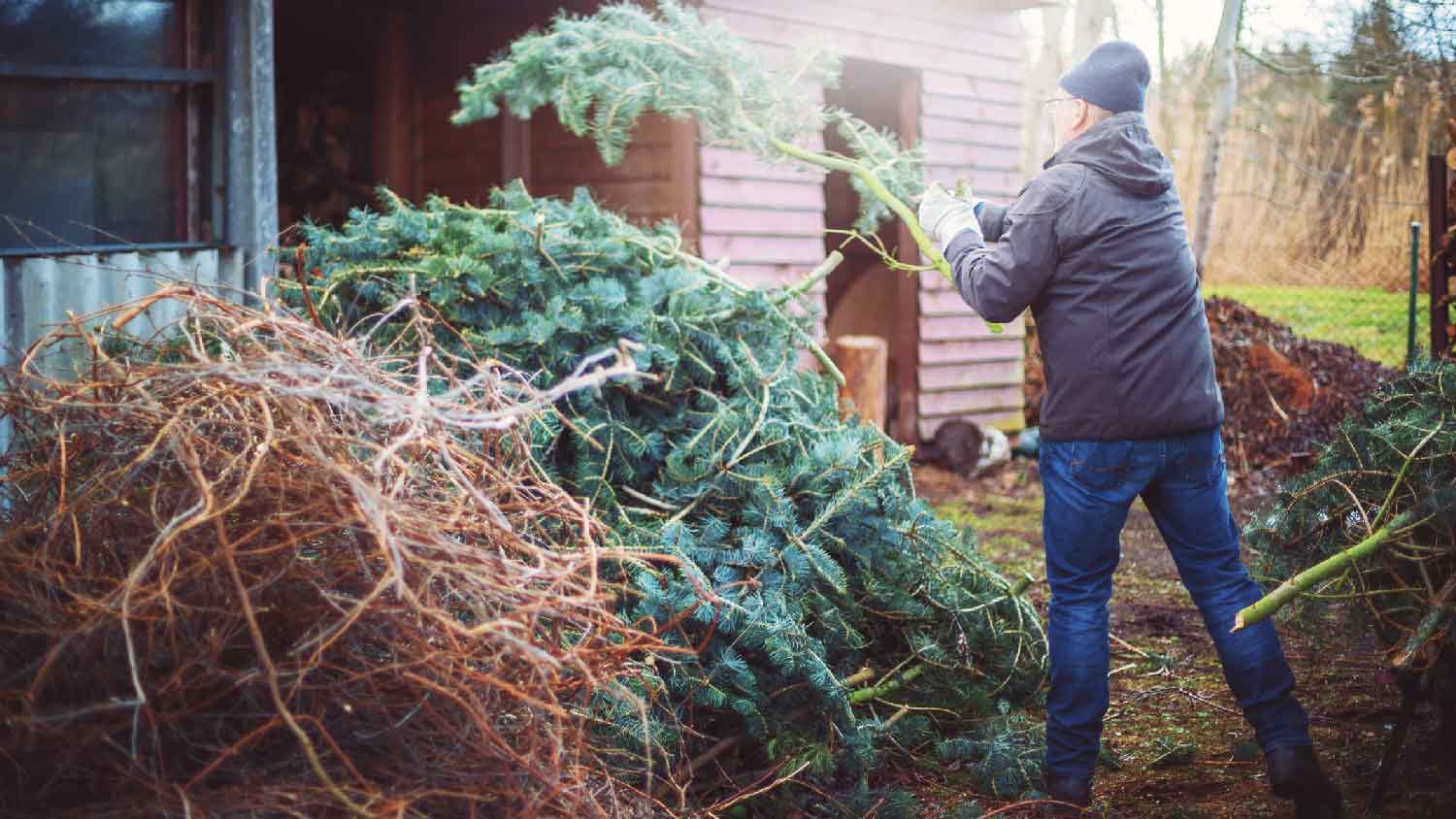 A man stacking tree branches